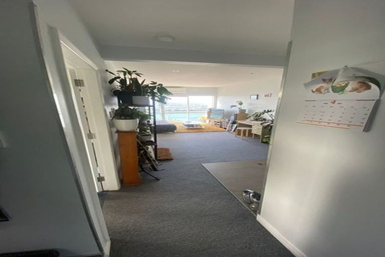 Photo of property in 17b Marewa Road, Hataitai, Wellington, 6021