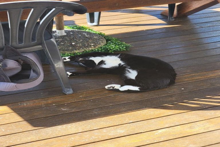 Photo of property in 1/14 Beresford Street, Bayswater, Auckland, 0622