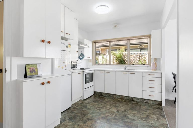 Photo of property in 209e Killarney Road, Frankton, Hamilton, 3204