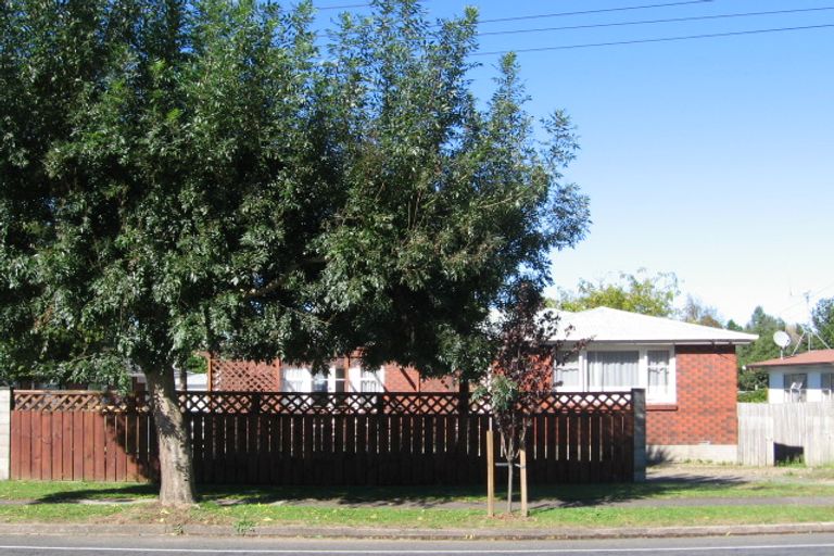 Photo of property in 116 Arapuni Street, Putaruru, 3411