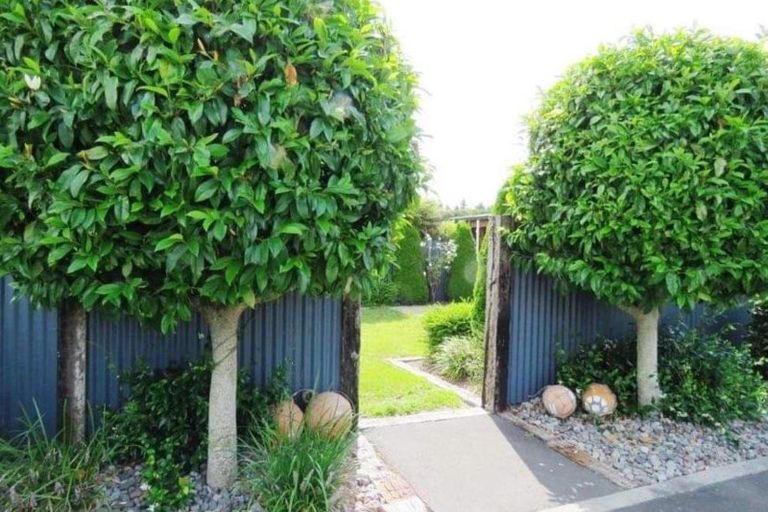 Photo of property in 63 Taplin Road, Matangi, Hamilton, 3283