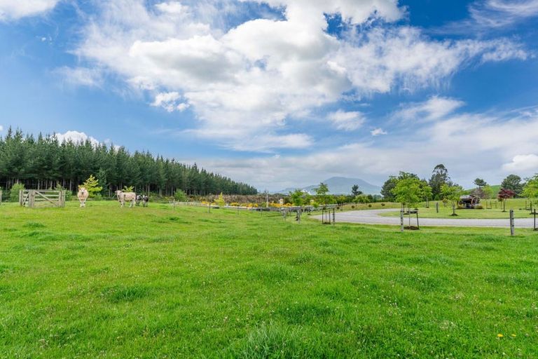 Photo of property in 437 Poihipi Road, Wairakei, Taupo, 3377
