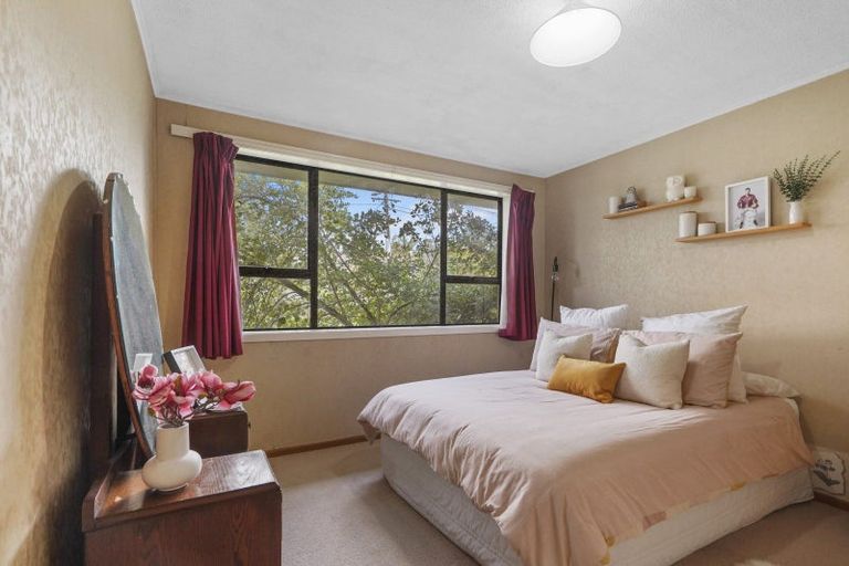 Photo of property in 11 Thomson Avenue, Dinsdale, Hamilton, 3204