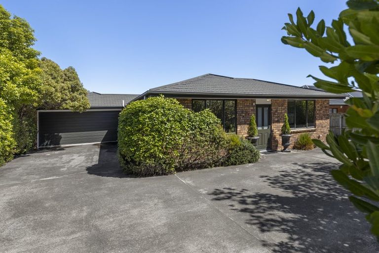 Photo of property in 142 Maxwell Road, Redwoodtown, Blenheim, 7201