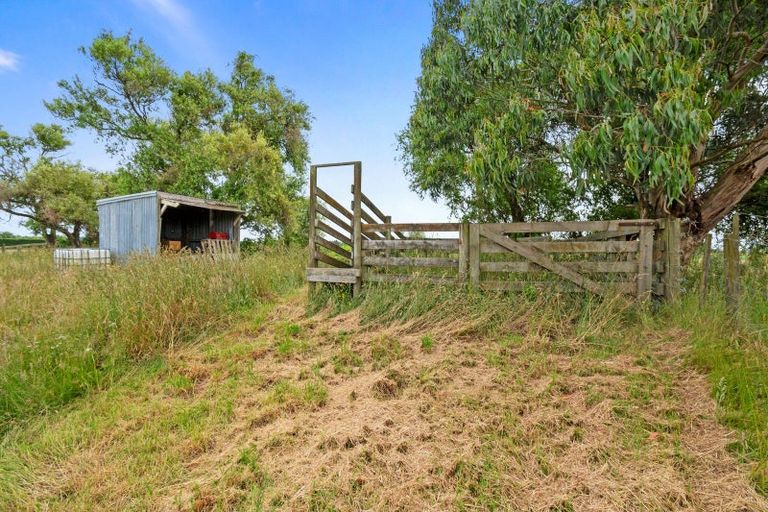 Photo of property in 8 Nye Street, Foxton, 4814