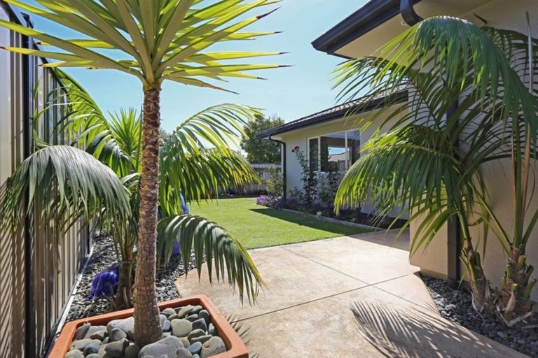 Photo of property in 8 Chenin Place, Greenmeadows, Napier, 4112