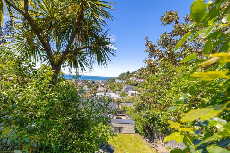 Photo of property in 38 Allandale Road, Saint Clair, Dunedin, 9012