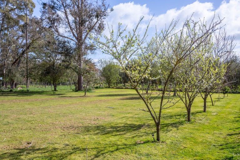 Photo of property in 53 Oak Street, Masterton, 5810