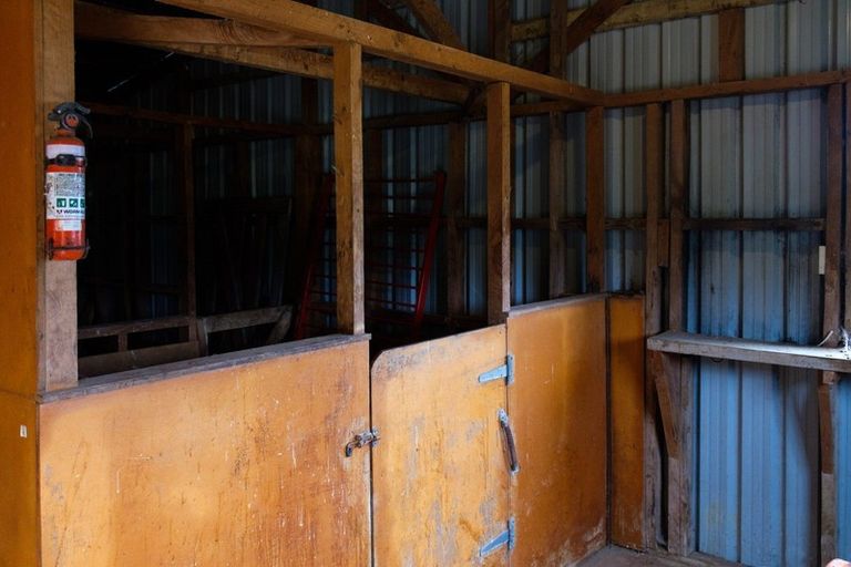 Photo of property in 880 Harington Point Road, Harington Point, Dunedin, 9077