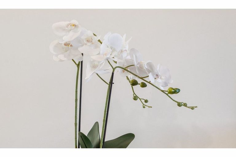 Photo of property in 4/7 Gambia Street, Papanui, Christchurch, 8053