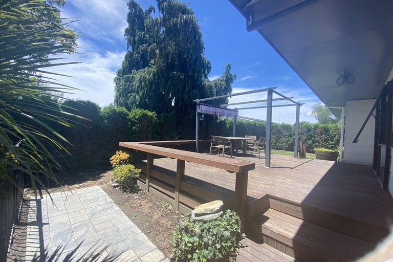 Photo of property in 908b Ferguson Street, Akina, Hastings, 4122