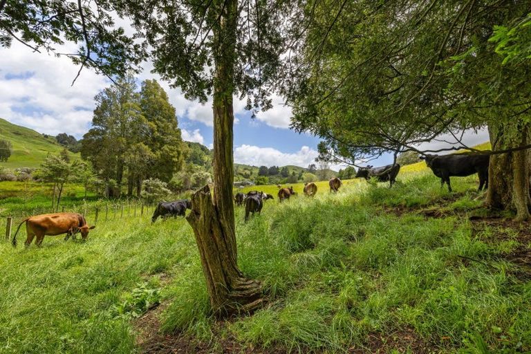 Photo of property in 467a Te Mata Road, Raglan, 3295