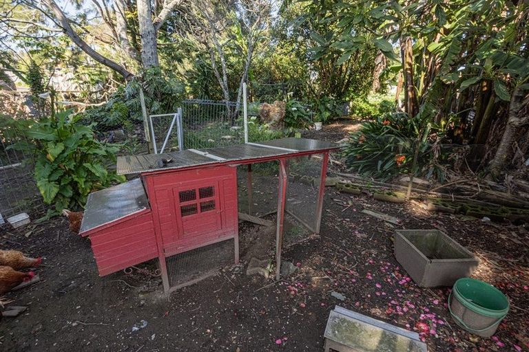 Photo of property in 45 First Avenue, Avenues, Whangarei, 0110