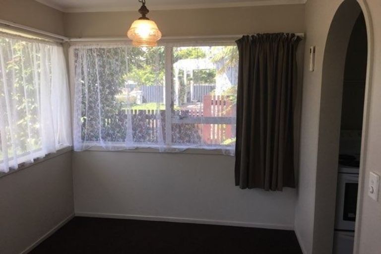 Photo of property in 47 Rimu Street, Maeroa, Hamilton, 3200