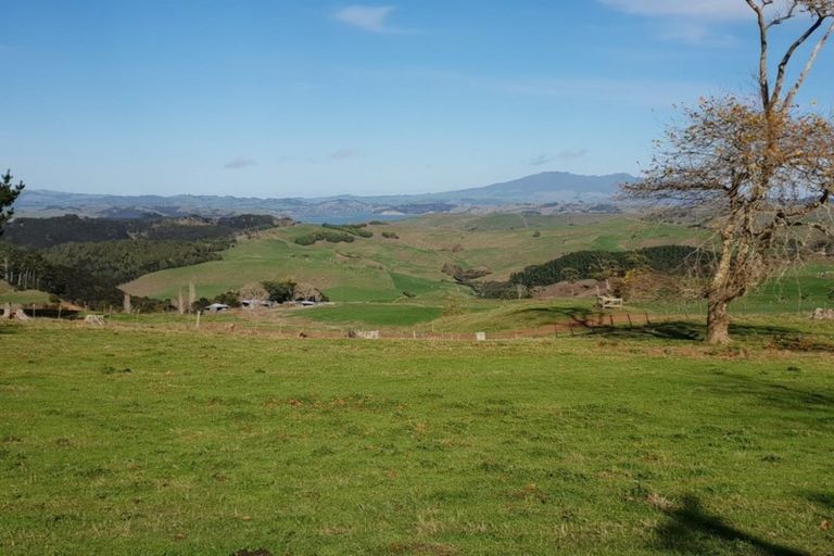 Photo of property in 169 Halliday Road, Waingaro, Ngaruawahia, 3793