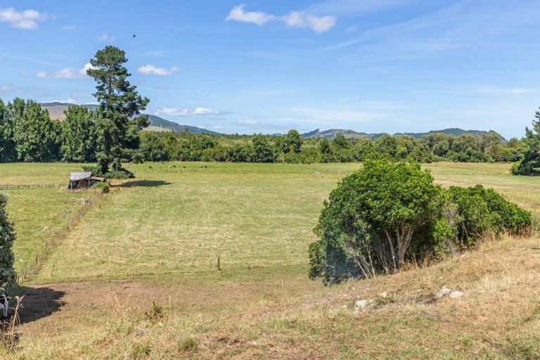 Photo of property in 358 Kimberley Road, Levin, 5571