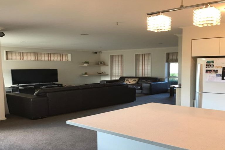 Photo of property in 17 Larne Place, Belfast, Christchurch, 8051