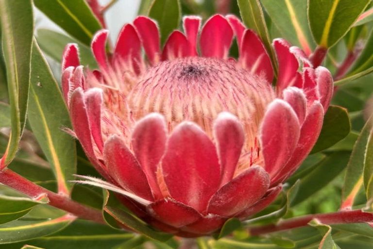 Photo of property in 410 Mahuta Road, Mahuta, Dargaville, 0371