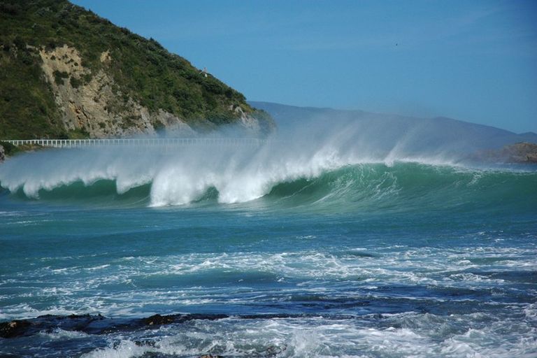 Photo of property in 203 Houghton Bay Road, Houghton Bay, Wellington, 6023