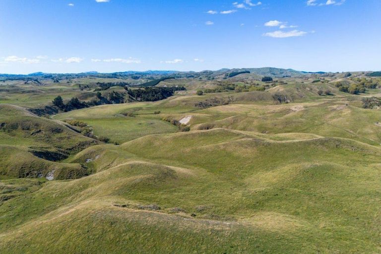 Photo of property in 300 Pattison Road, Akina, Hastings, 4122