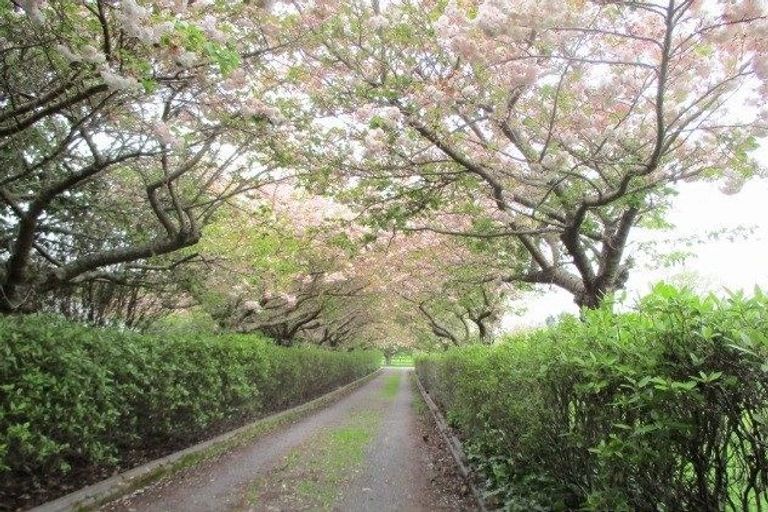 Photo of property in 123 Brunswick Drive, Tikitere, Rotorua, 3074