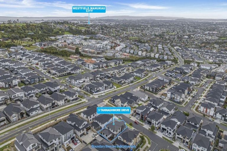 Photo of property in 3 Tannaghmore Drive, Flat Bush, Auckland, 2019
