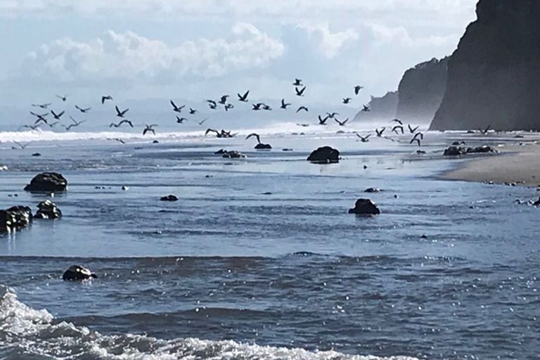 Photo of property in 154 Waitoetoe Road, Mimi, Urenui, 4377