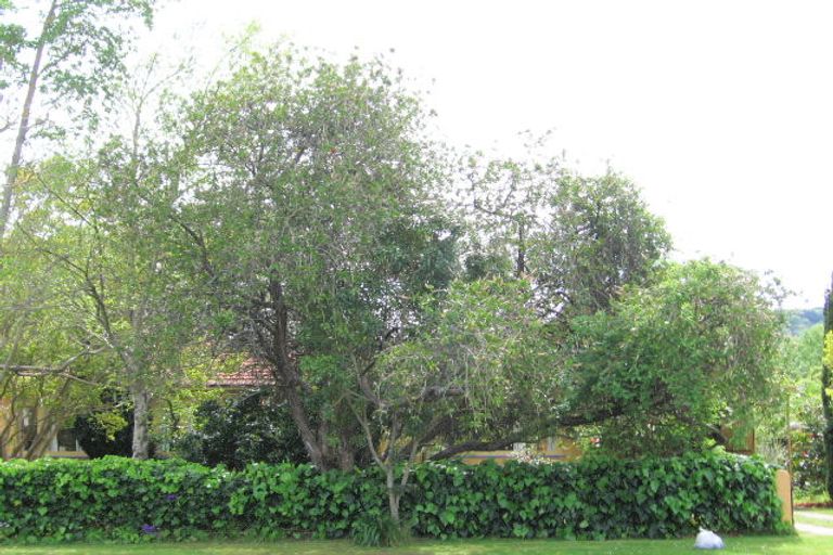 Photo of property in 211 Stout Street, Mangapapa, Gisborne, 4010