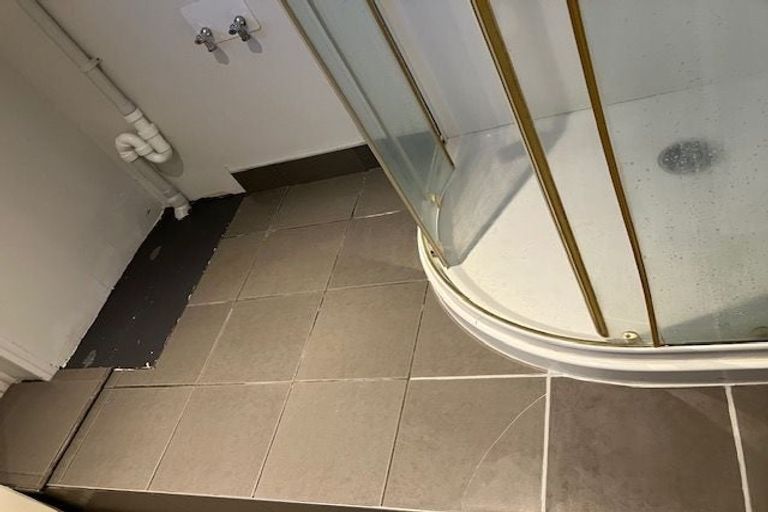 Photo of property in 16a Collie Street, Hillpark, Auckland, 2102