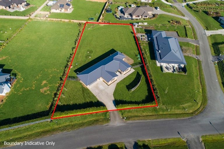 Photo of property in 9 Fallow Avenue, Feilding, 4775