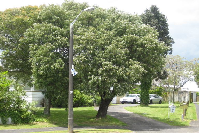 Photo of property in 22 Carbery Place, Manurewa, Auckland, 2102