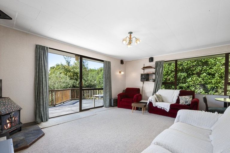 Photo of property in 67 Hauraki Terrace, Pukawa Bay, Turangi, 3381