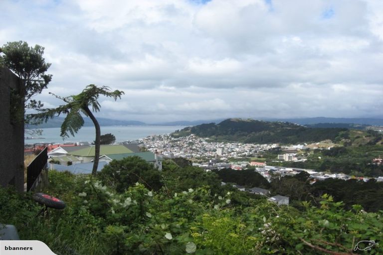 Photo of property in 117 Washington Avenue, Brooklyn, Wellington, 6021