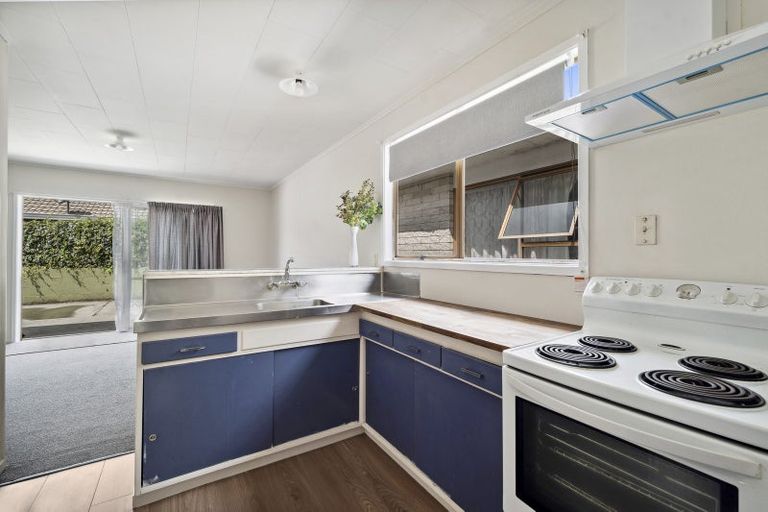 Photo of property in 55c Elizabeth Street, Victoria, Rotorua, 3010