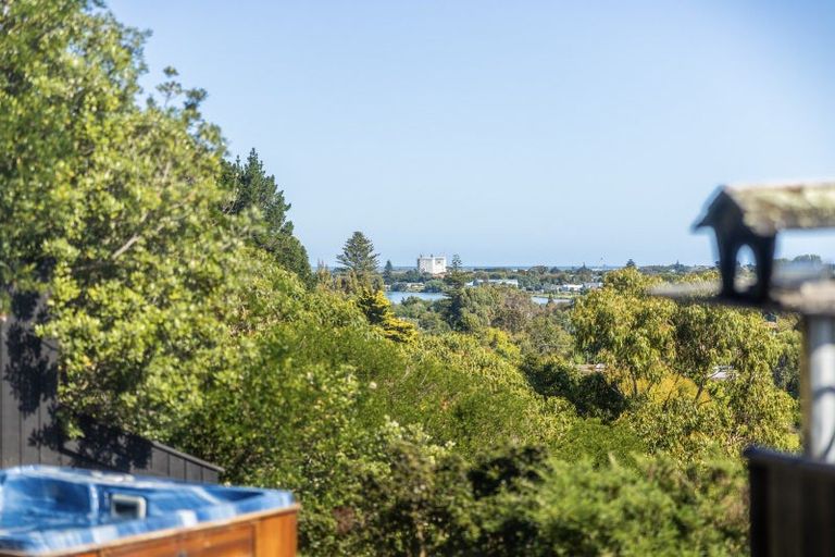 Photo of property in 43 Ngatarua Road, Putiki, Whanganui, 4500