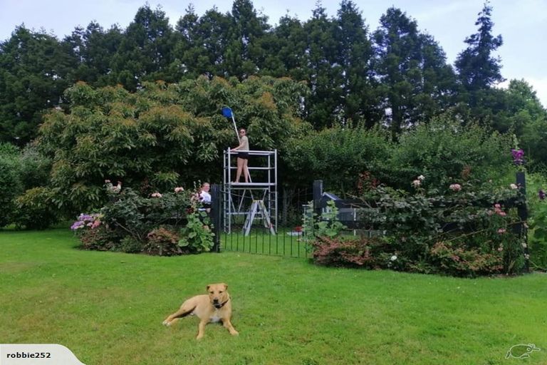 Photo of property in 243 Ross Road, Whakamarama, Tauranga, 3179