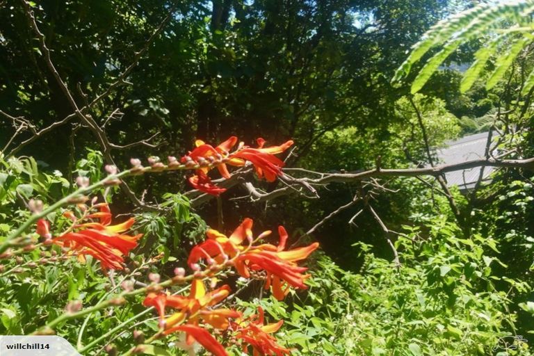 Photo of property in 93c Cecil Road, Wadestown, Wellington, 6012