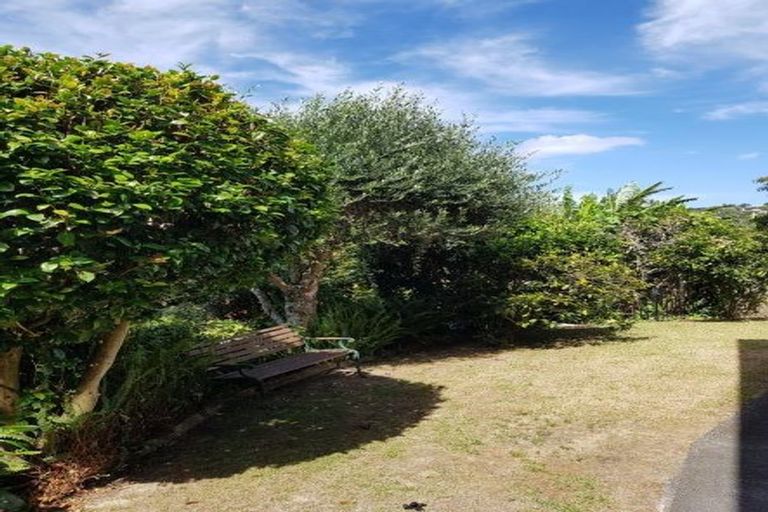 Photo of property in 11 Theodora Place, Mairangi Bay, Auckland, 0630