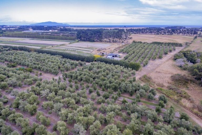 Photo of property in 22 Lethbridge Street, Feilding, 4702