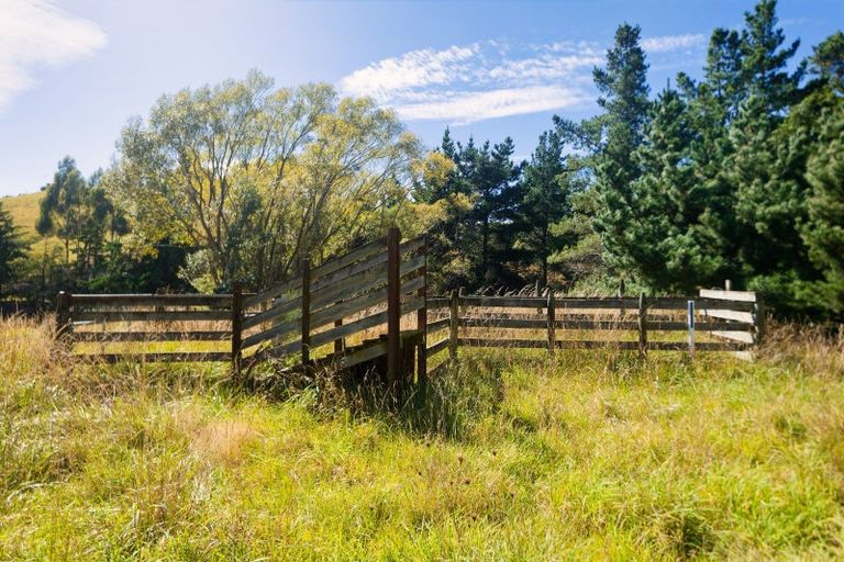 Photo of property in 317 Caseys Road, Blind River, Seddon, 7285