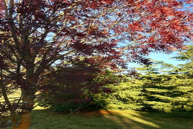 Photo of property in 897 Sandy Knolls Road, West Melton, Christchurch, 7675