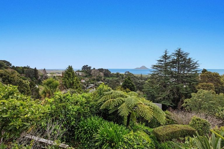 Photo of property in 36 Hillcrest Road, Whakatane, 3120