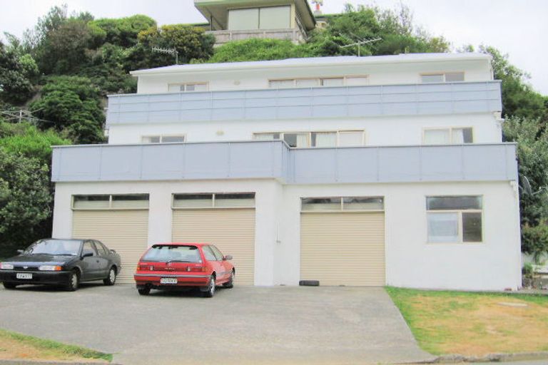 Photo of property in 48 Moffitt Street, Vogeltown, Wellington, 6021