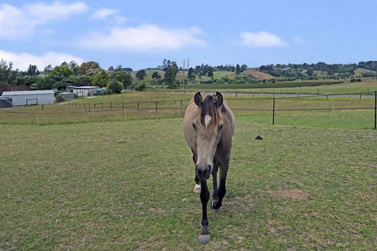 Photo of property in 141 George Harvey Road, Upper Moutere, 7173