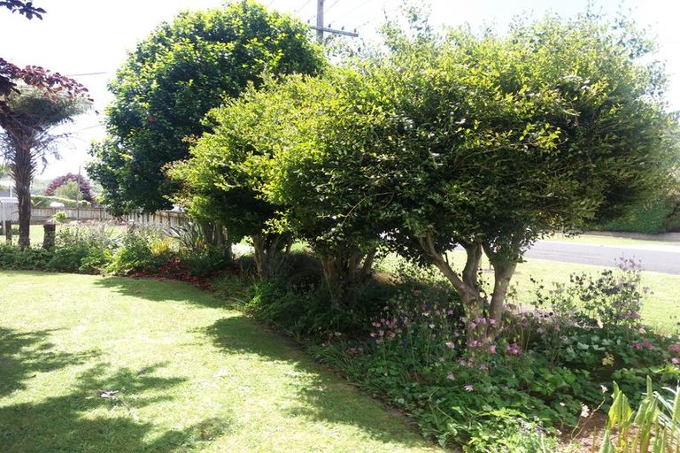 Photo of property in 25 Kensington Road, Waihi, 3610