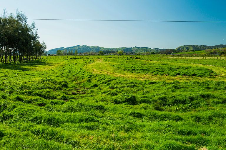 Photo of property in 495a Nelson Road, Riverdale, Gisborne, 4010