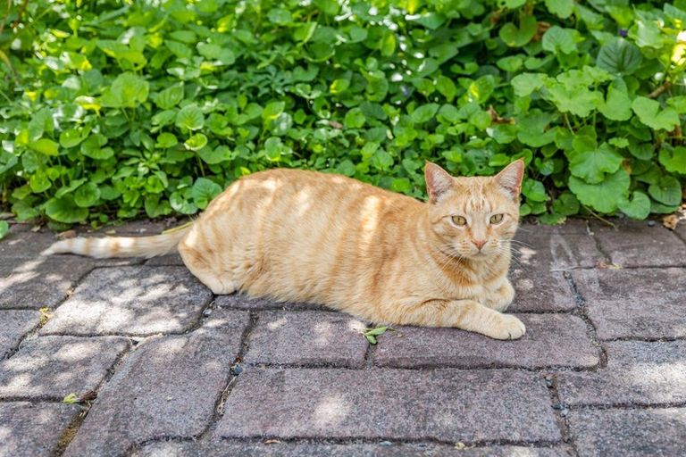 Photo of property in 105 Kapiro Road, Kerikeri, 0294