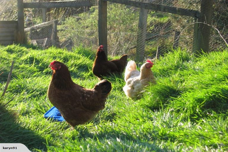 Photo of property in 4 Terrace Street, Matawai, 4075