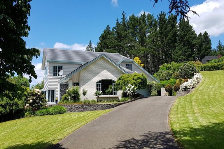 Photo of property in 17 Wallace Place, Tauriko, Tauranga, 3110