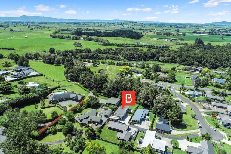 Photo of property in 8 Allendale Place, Morrinsville, 3300